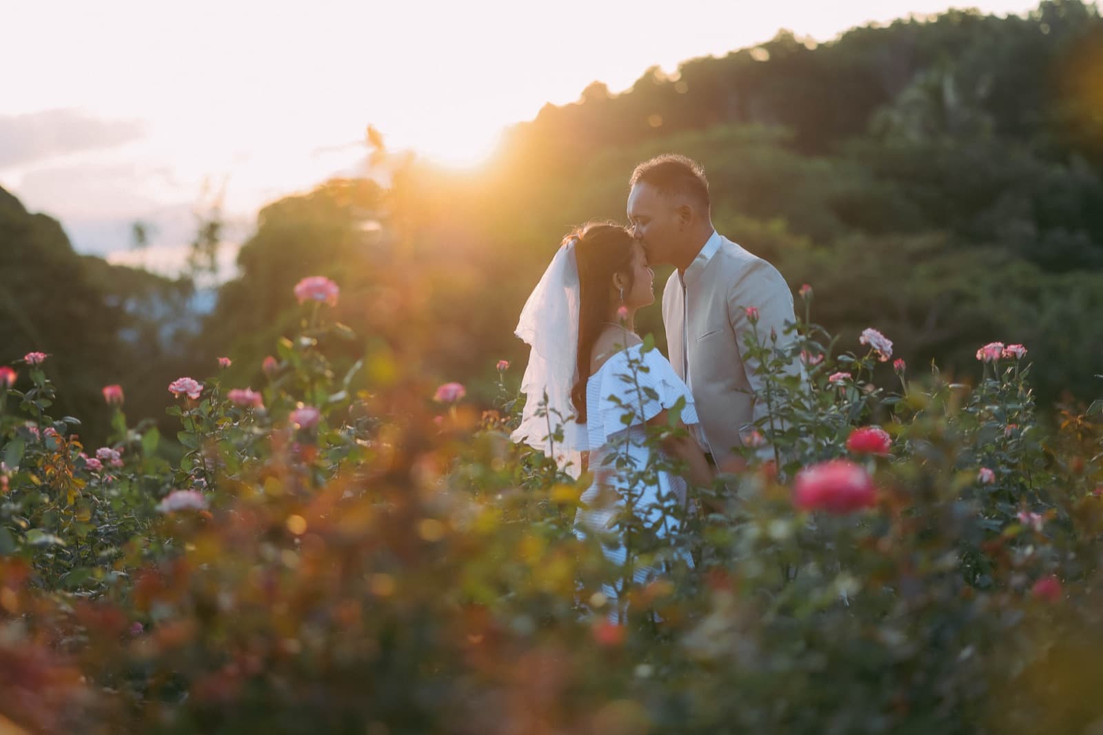 Among the wildflowers at golden hour