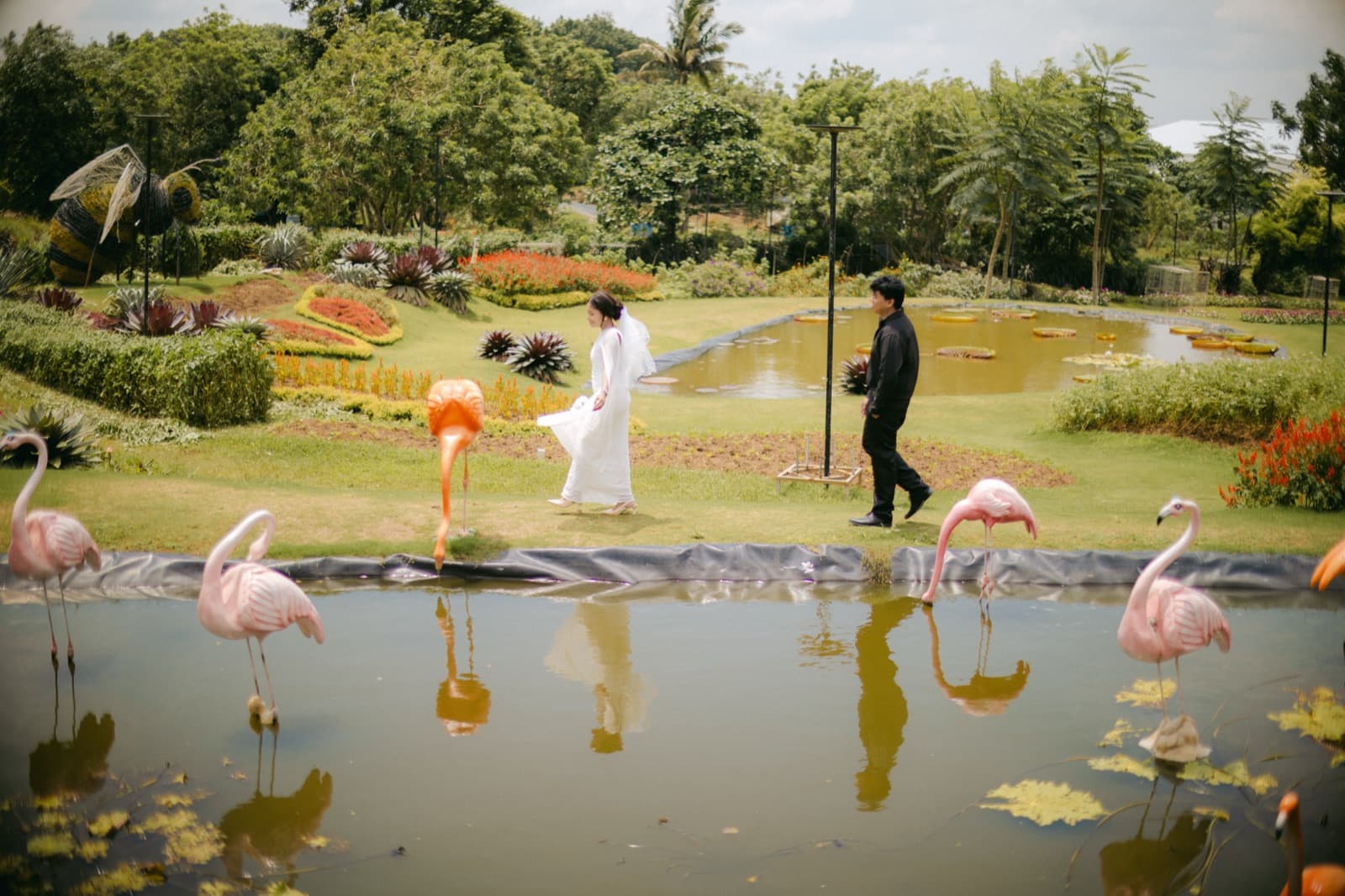 Among the flamingos, just for fun