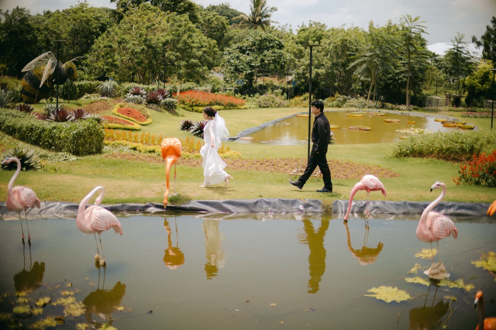 The flamingo pond, wide and whimsical