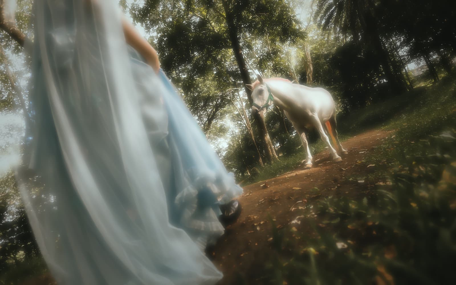 Walking with the horse through the forest