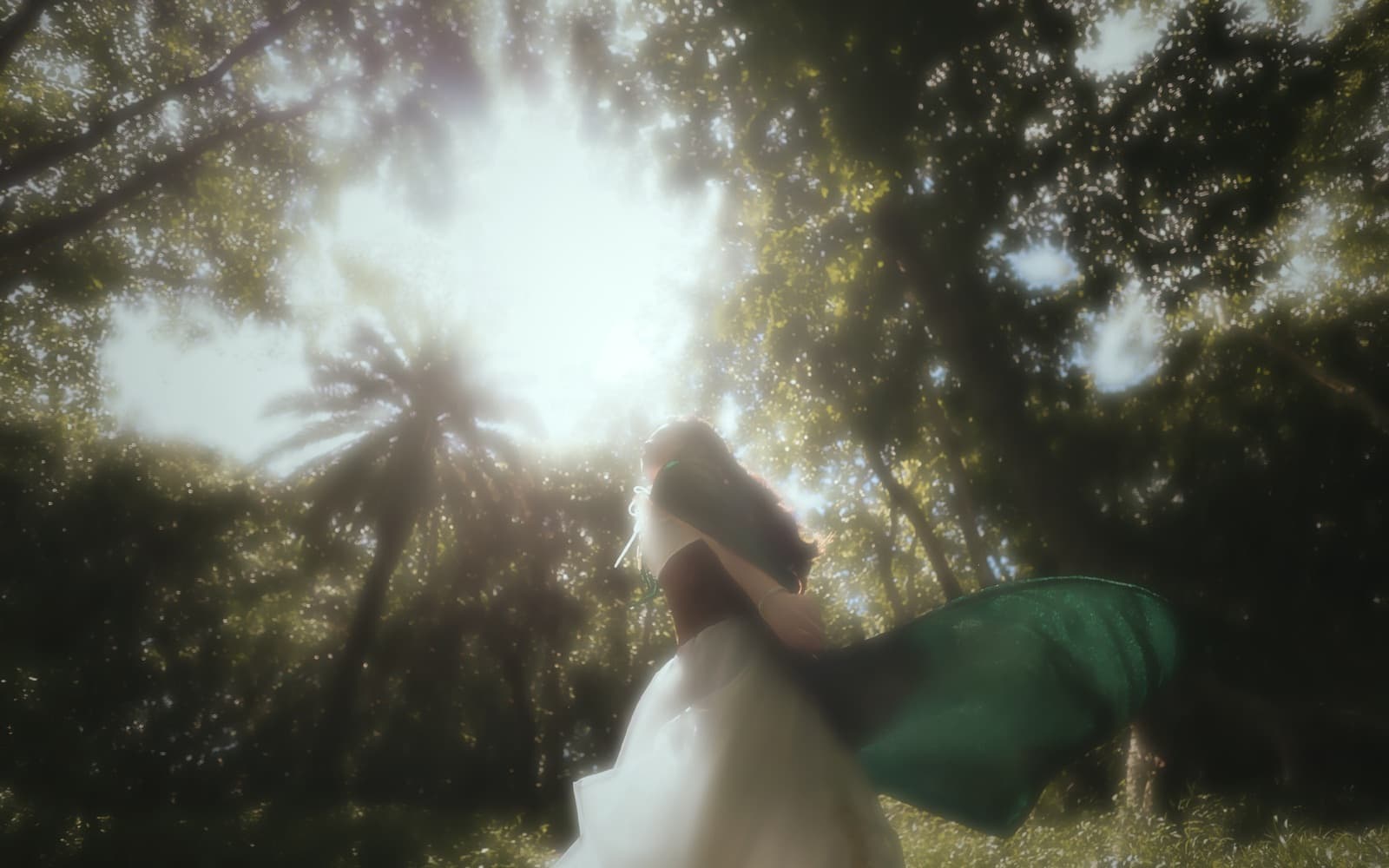 Backlit and joyful in the sunlight